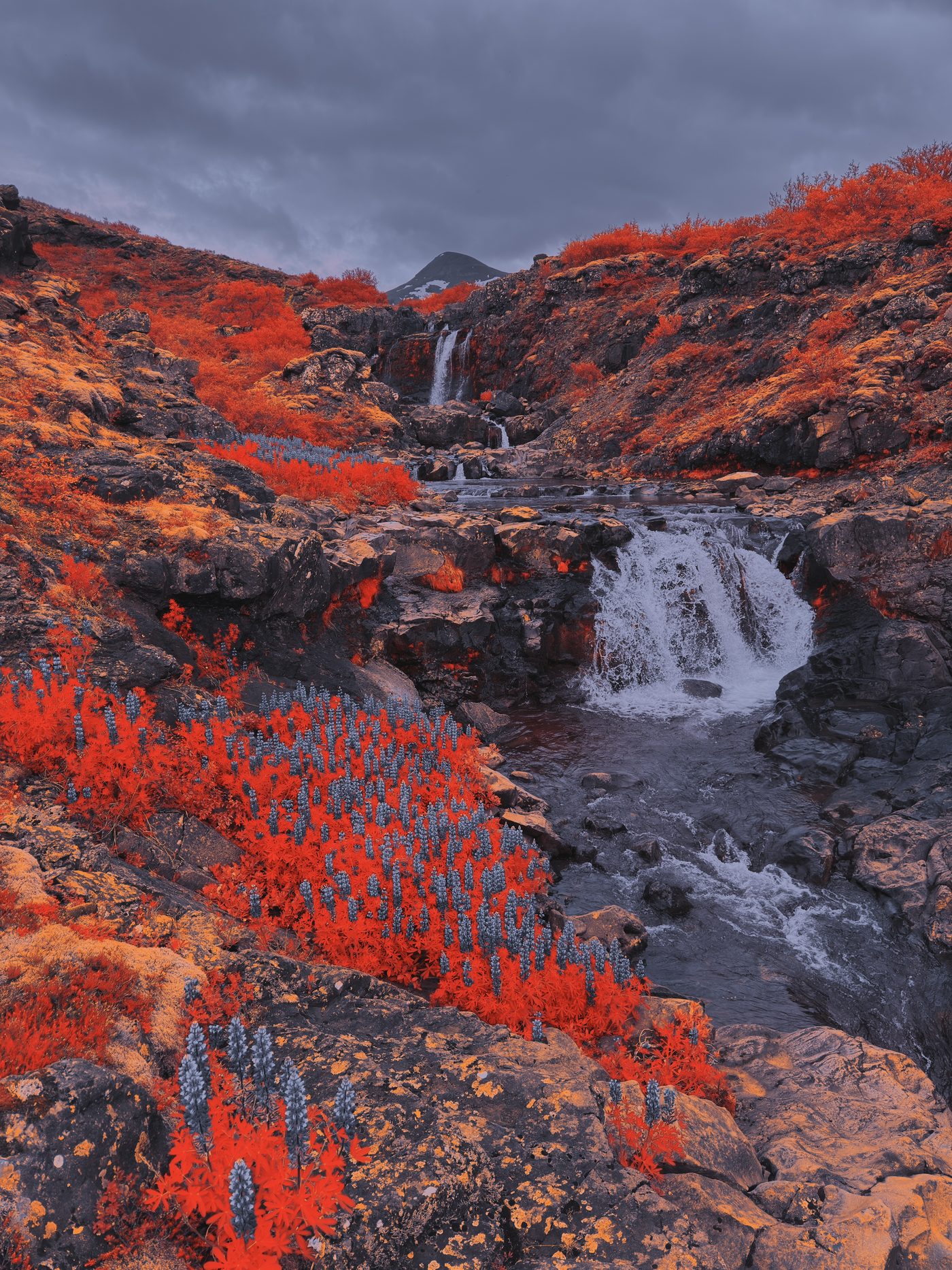 Aerochrome false color: red shrubs and blue lupines around a waterfall gorge